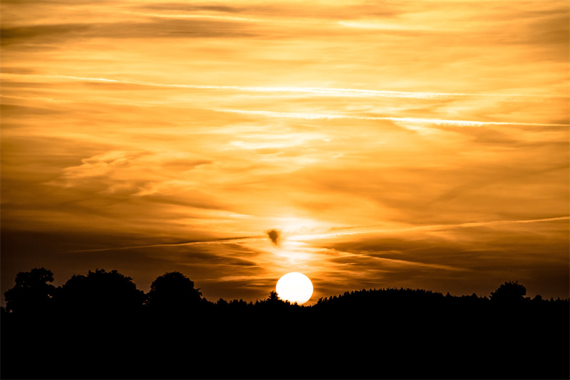 pexels-pixabay-533935.jpg